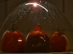 Halloween &raquo; Halloween