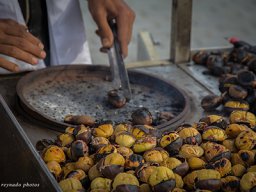 chestnuts