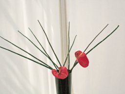 ikebana3
